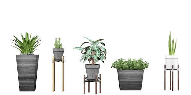 Un conjunto de plantas en una mesa con una que dice 'verde'