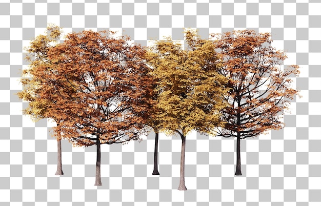 Conjunto de recorte de ilustración de árbol de otoño