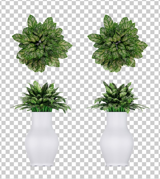 Conjunto de renderizado 3d de planta isométrica