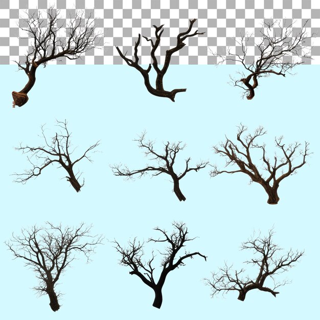 Conjunto de varias ramas de árboles secos muertos en recortes transparentes aislados PNG Fondo