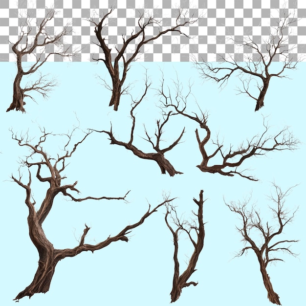 Conjunto de varias ramas de árboles secos muertos en recortes transparentes aislados PNG Fondo