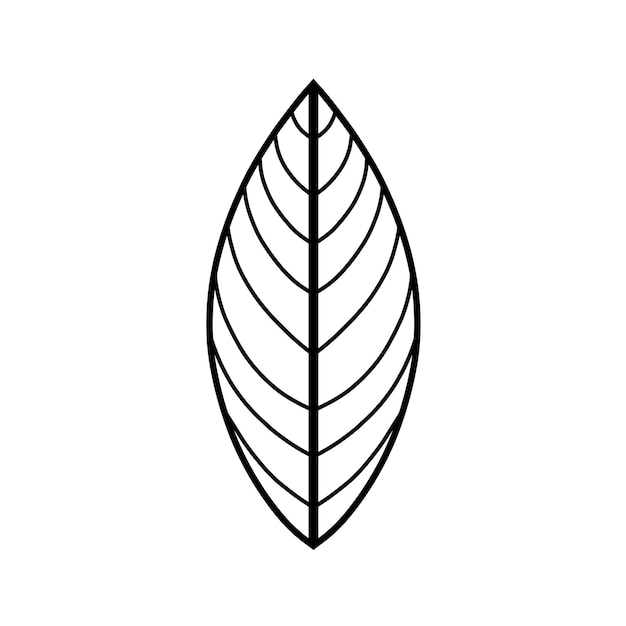 contorno de la hoja