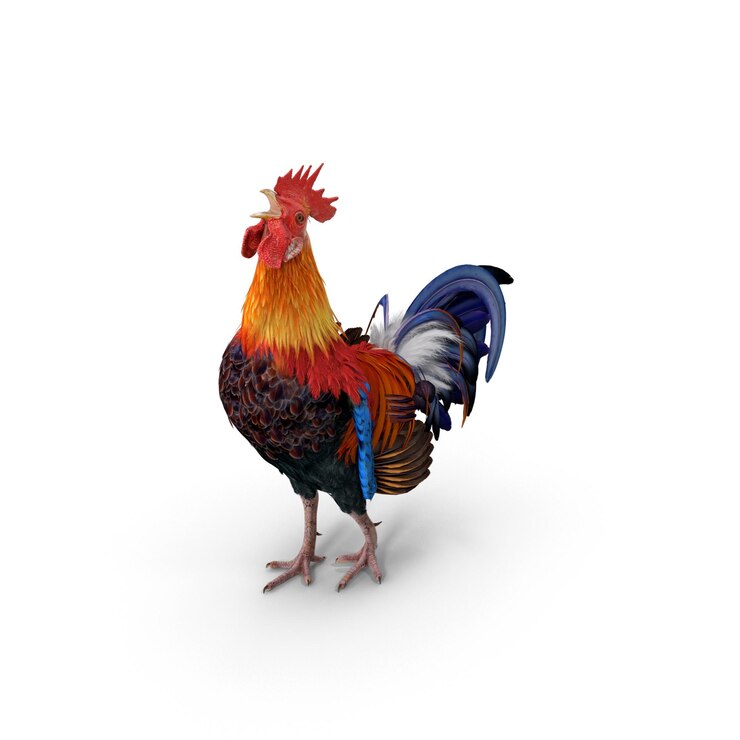 PSD un coq de dessin animé 3d vibrant et détaillé