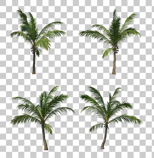 Coqueiros isométricos renderização em 3d