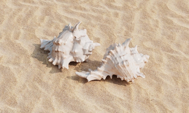 Des coquillages sur la plage avec un rendu 3D du sable