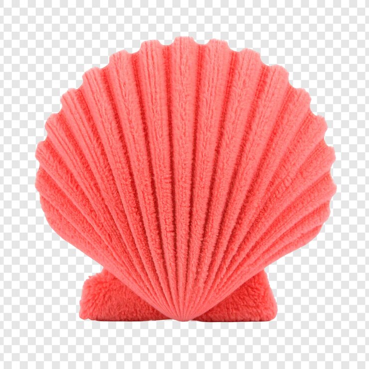 PSD coral scallop shell