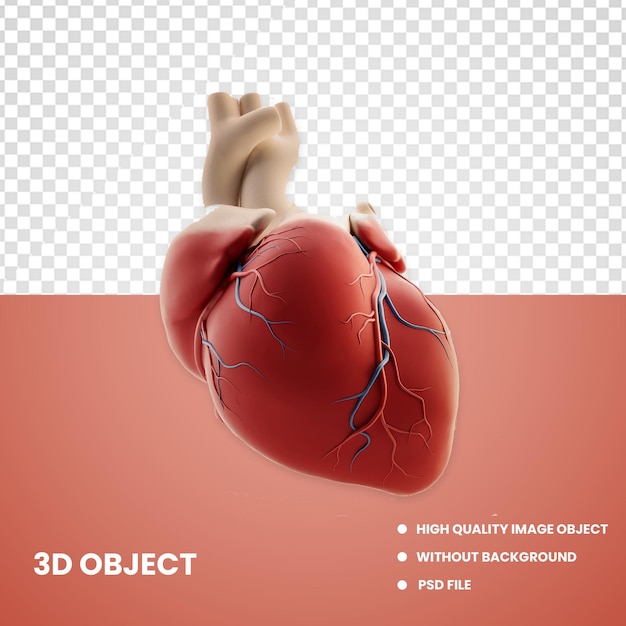 Corazón 3D