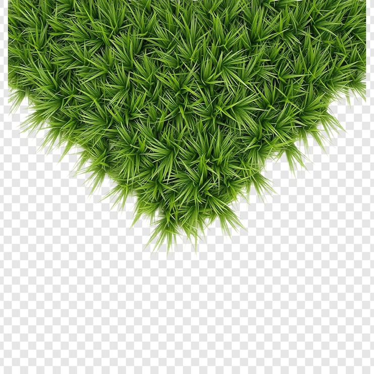 PSD un corazón hecho de hierba en un fondo transparente