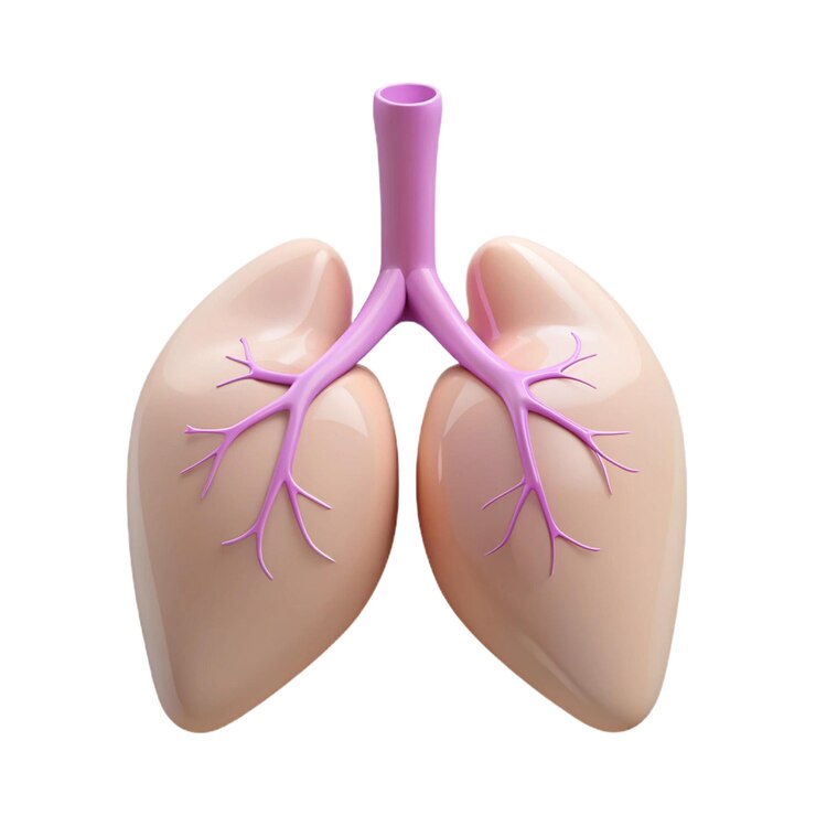 PSD un corazón humano rosado con la palabra pulmones en él