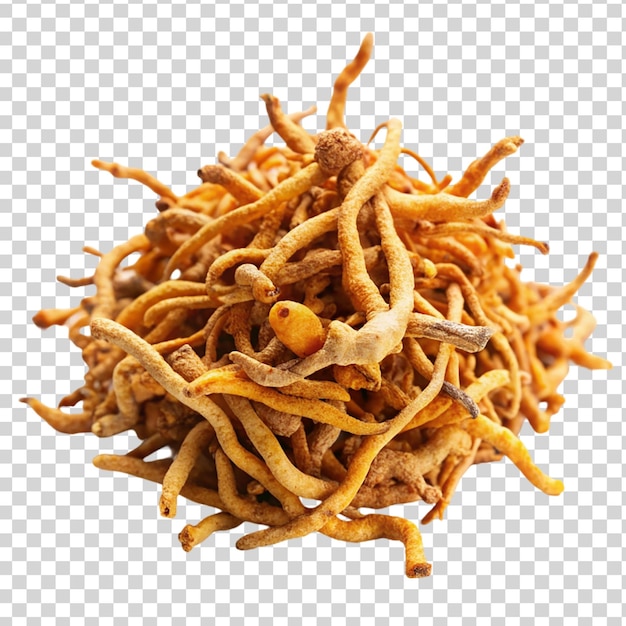 PSD cordyceps sinensis isoliert auf durchsichtigem hintergrund