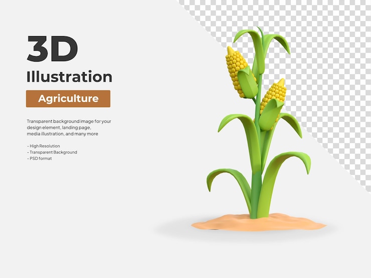 PSD corn field plant agriculture farming 3d icon illustration