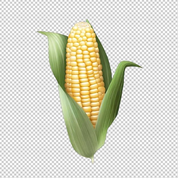 Cornfield Chronicles Ein saisonales Schaufenster