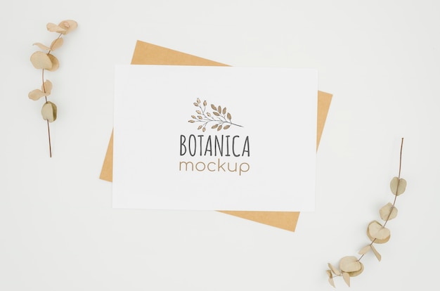 Cornice di foglie botaniche mock-up