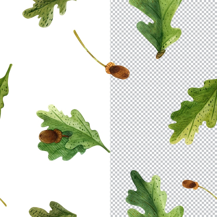PSD cornice di piante della scozia. rami di quercia. illustrazione botanica dell'acquerello, cornice per saluti e invito