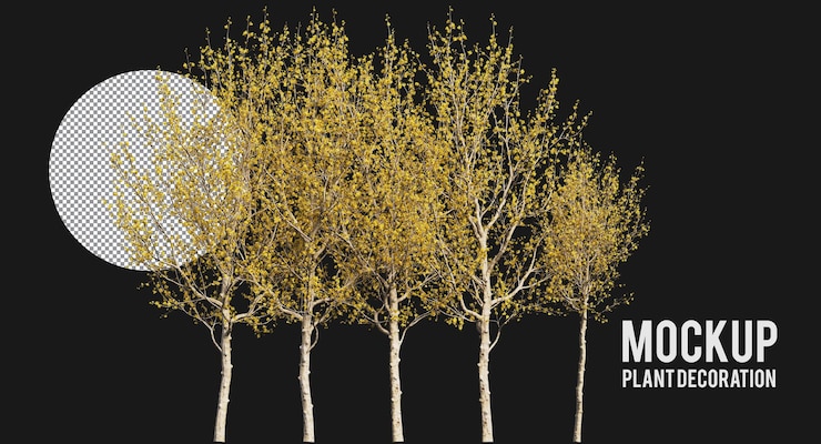 PSD cornus mas or cornelian cherry trees and branches isolated