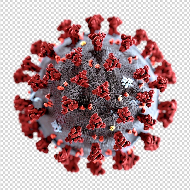 PSD el coronavirus covid-19 aislado en un fondo transparente