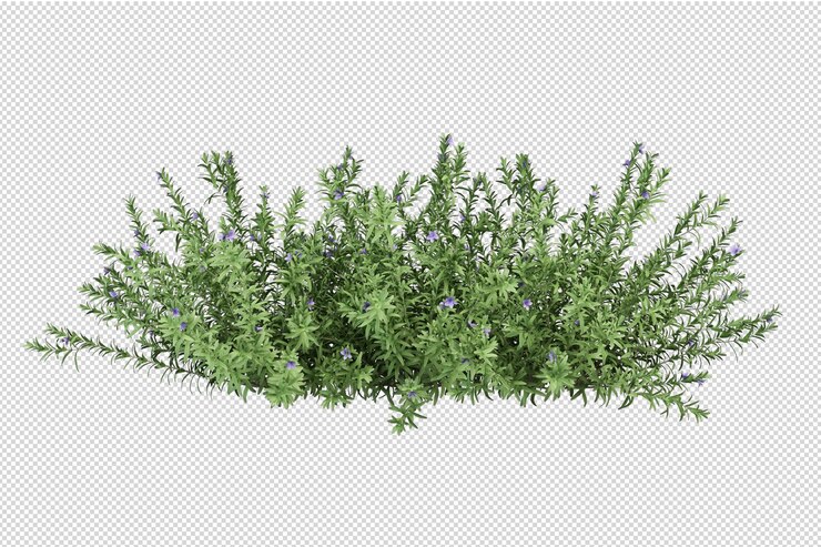 PSD cortar helecho en renderizado 3d