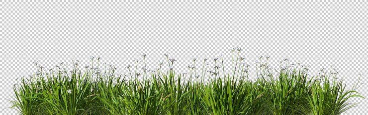 PSD cortar hierba florida pradera horizontal fila 3d render