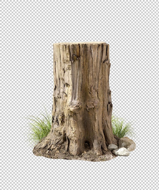 Cortar las raíces del tronco del árbol madera dura 3d render