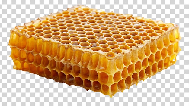 Coto de mel doce fresco isolado em fundo transparente