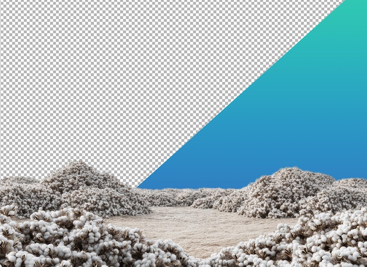 PSD cotton field landscape on gradient background