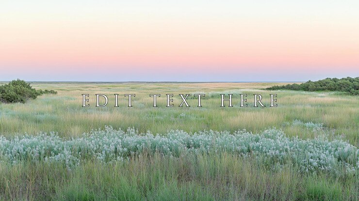PSD un coucher de soleil serein sur une vaste prairie plate avec des fleurs sauvages