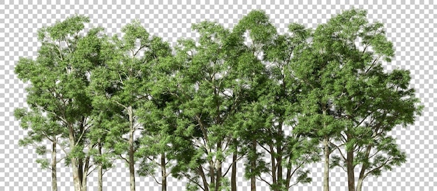 Coupe D'éco-arbres Bois Groupe Paysage Sur Fond Transparent Illustrations 3d