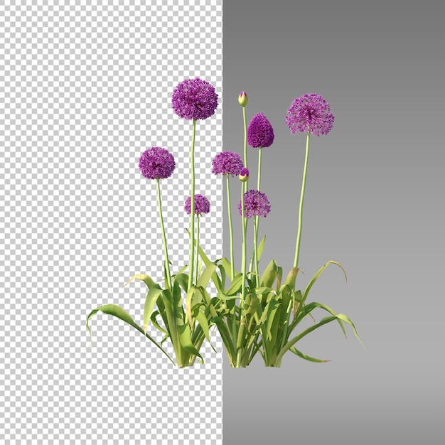 Couvre-feu de fleurs de brousse d'herbe