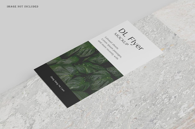 COVER DL FLYER MOCKUP