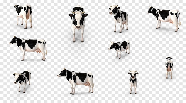 Cows on a transparent background