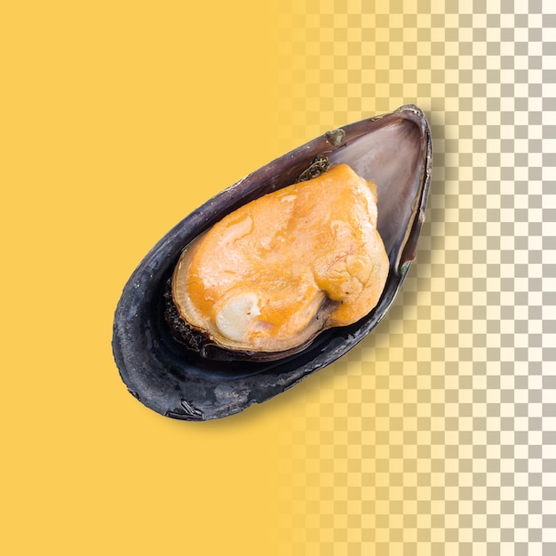 Cozze fresche isolate su sfondo trasparente