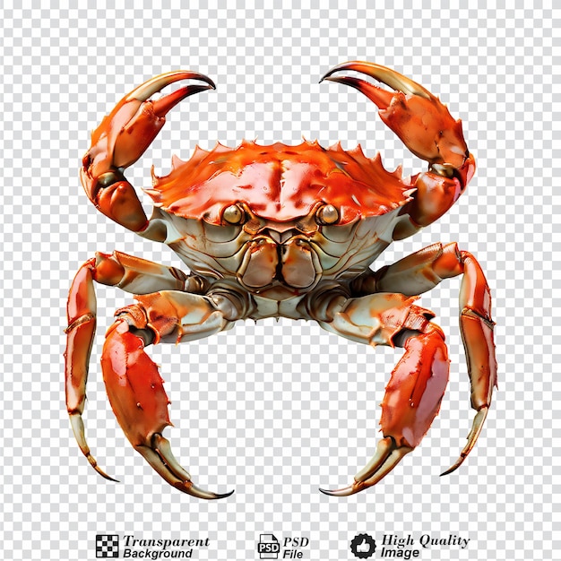 PSD crabe isolé sur un fond transparent