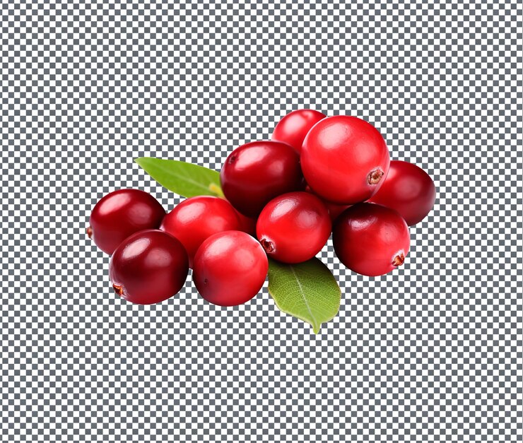 PSD cranberries naturais e frescos isolados em fundo transparente