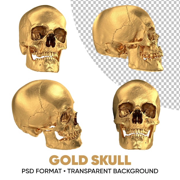 PSD cráneo de oro fondo transparente