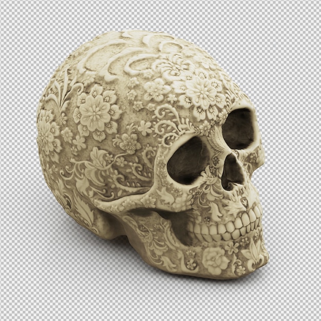 Crânio isométrica 3D isolado render