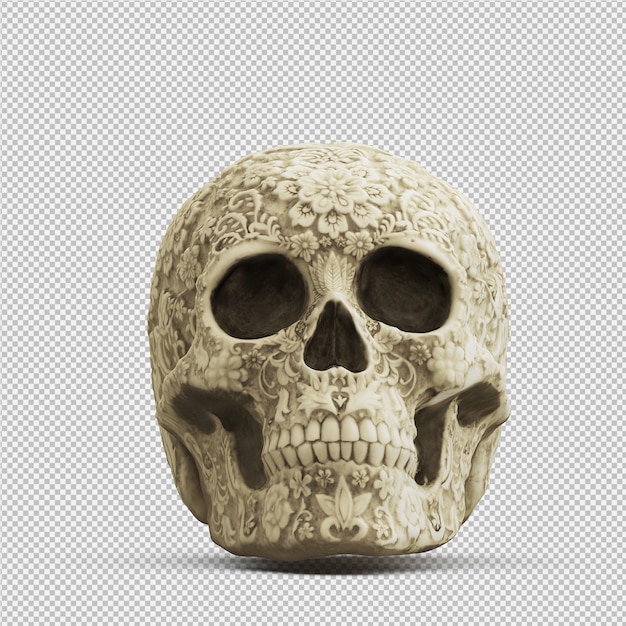 Crânio isométrica 3D isolado render
