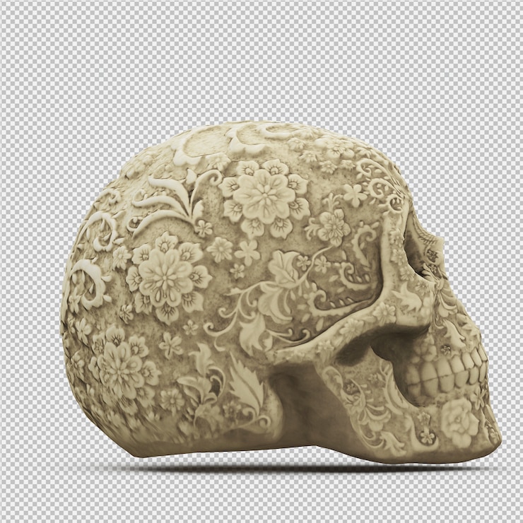 PSD crânio isométrica 3d isolado render