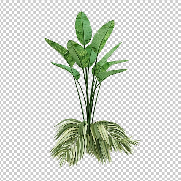 creador de escenas de plantas aisladas