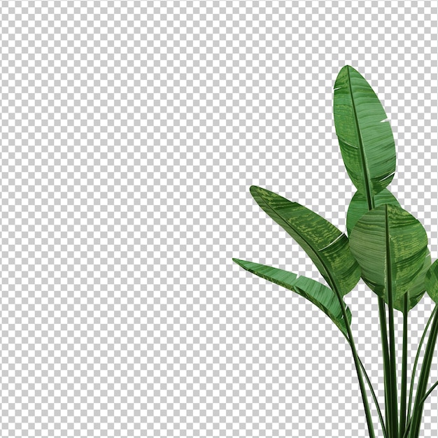 PSD creador de escenas de plantas aisladas