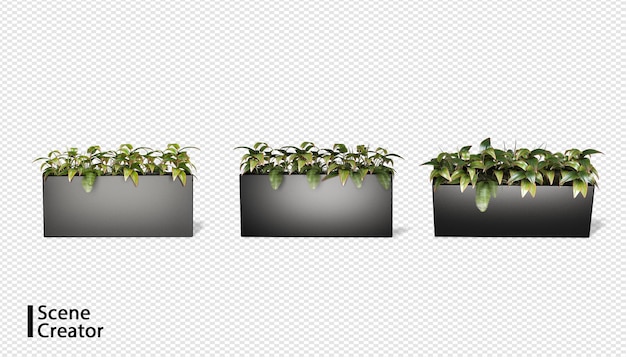 Creador de escenas de plantas en varios ángulos