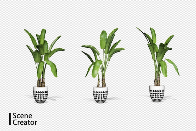 Creador de escenas de plantas en varios ángulos