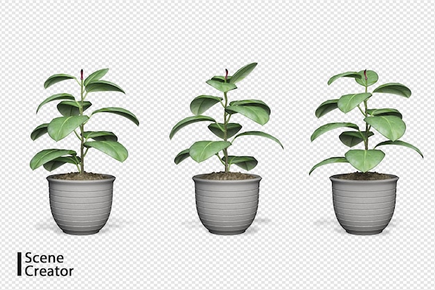 Creador de escenas de plantas en varios ángulos
