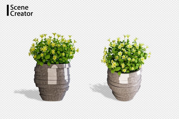 Creador de escenas de plantas en varios ángulos