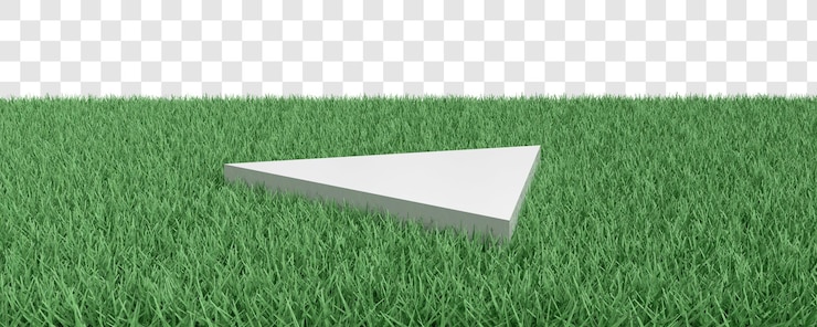 PSD créateur de scène de plate-forme blanche en herbe