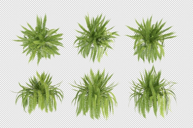 Créateur De Scènes De Plantes Sous Différents Angles