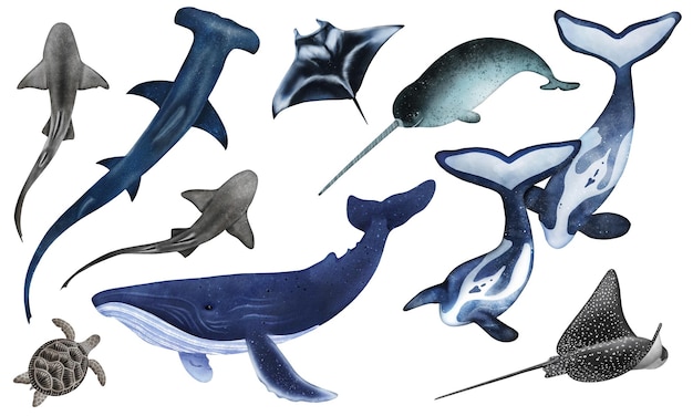 Des créatures sous-marines sur un fond isolé Illustration à l'aquarelle du monde sous-marin