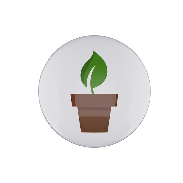 El crecimiento de la planta en la olla