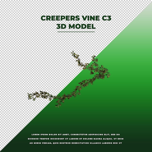 Creepers vine modelo aislado 3d modelo aislado 3d