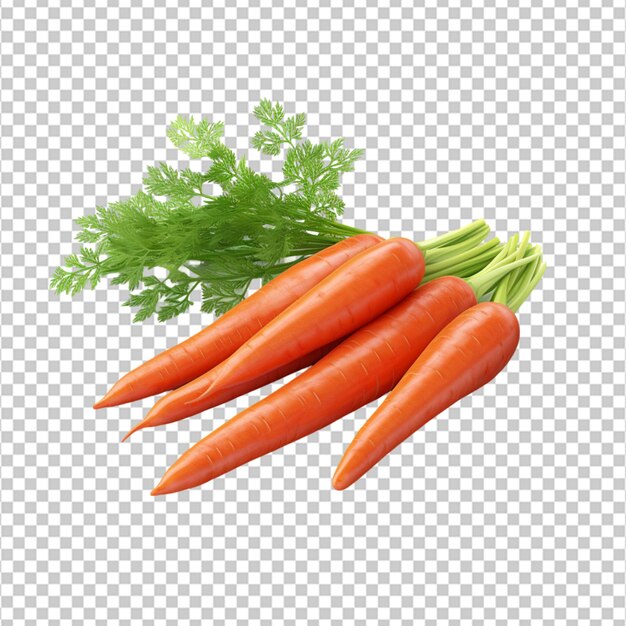 PSD créer une carotte fraîche de haute qualité sur fond blanc