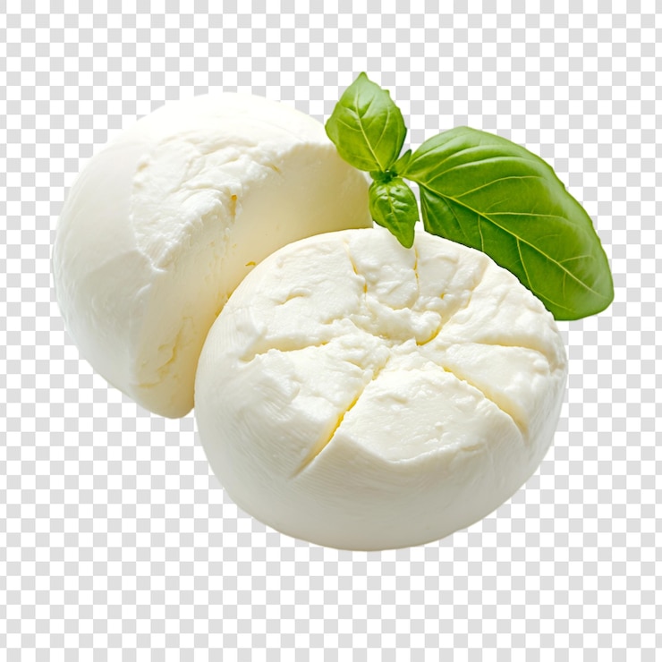 PSD cremiger burrata-käse mit basilikumblättern - köstliches italienisches essen